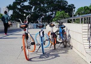 深圳共享单车爆料视频,一窥城市绿色出行背后的真相 第1张 深圳共享单车爆料视频,一窥城市绿色出行背后的真相 第1张