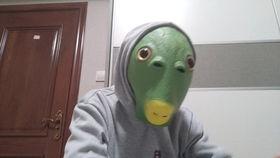 秽土水门最新爆料直播,神秘力量觉醒，忍者世界风云再起